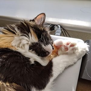 Time for a little break